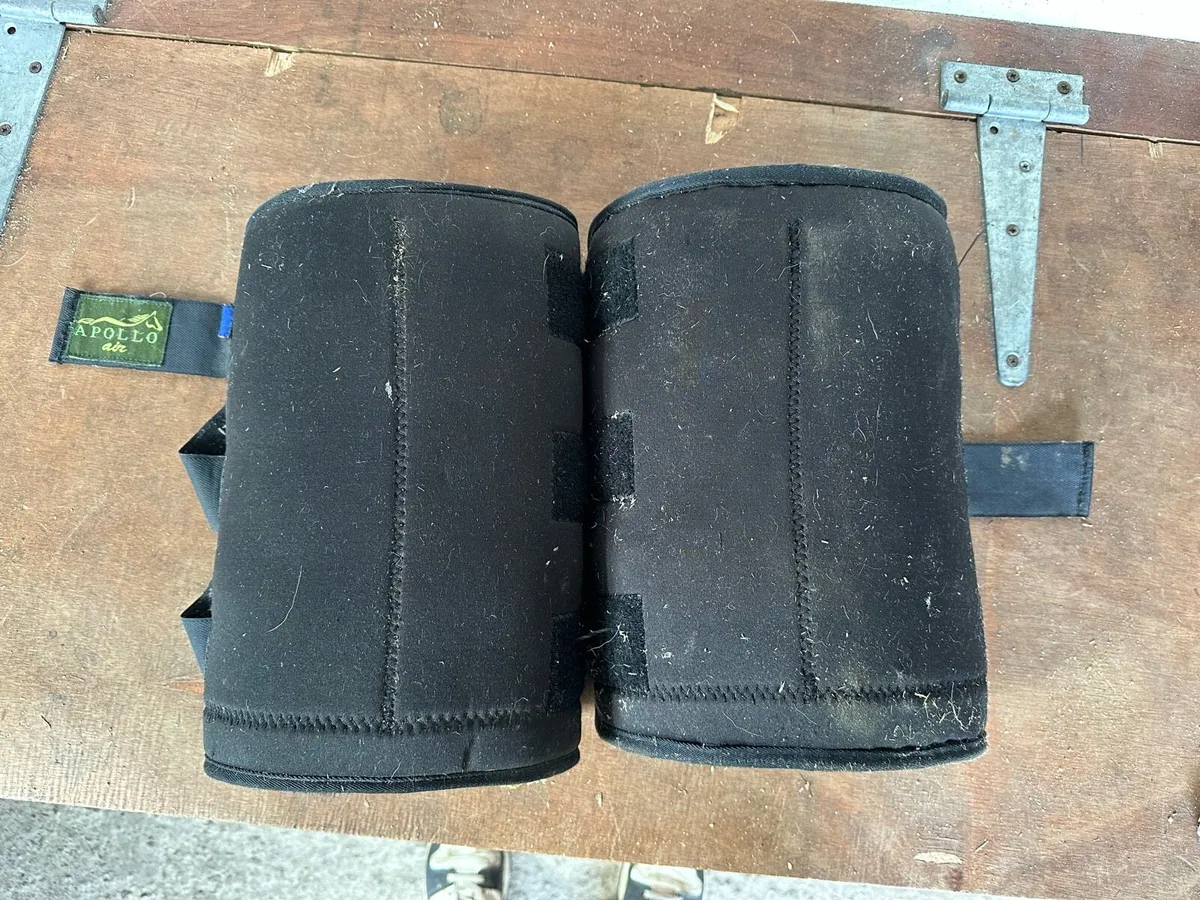 Horse boots - Image 4