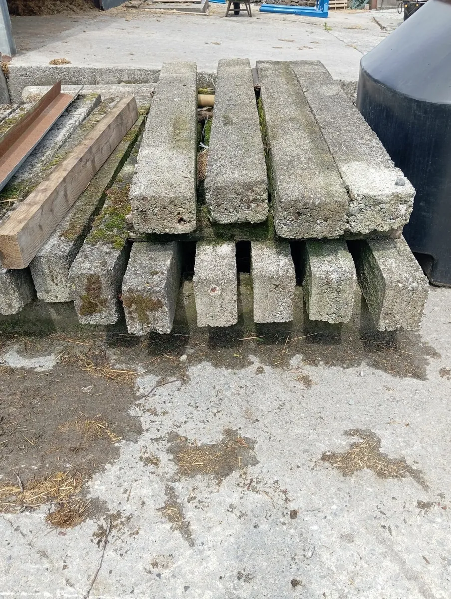 Concrete posts - Image 1