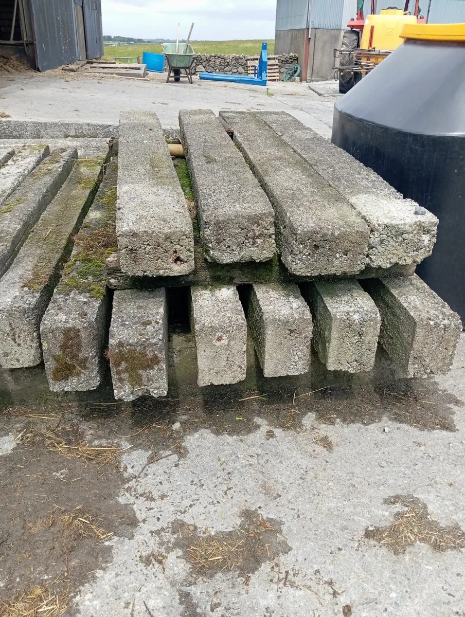 Concrete posts - Image 2