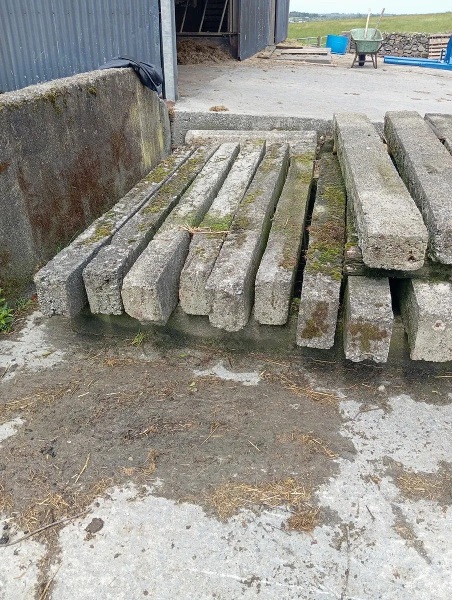 Concrete posts - Image 3