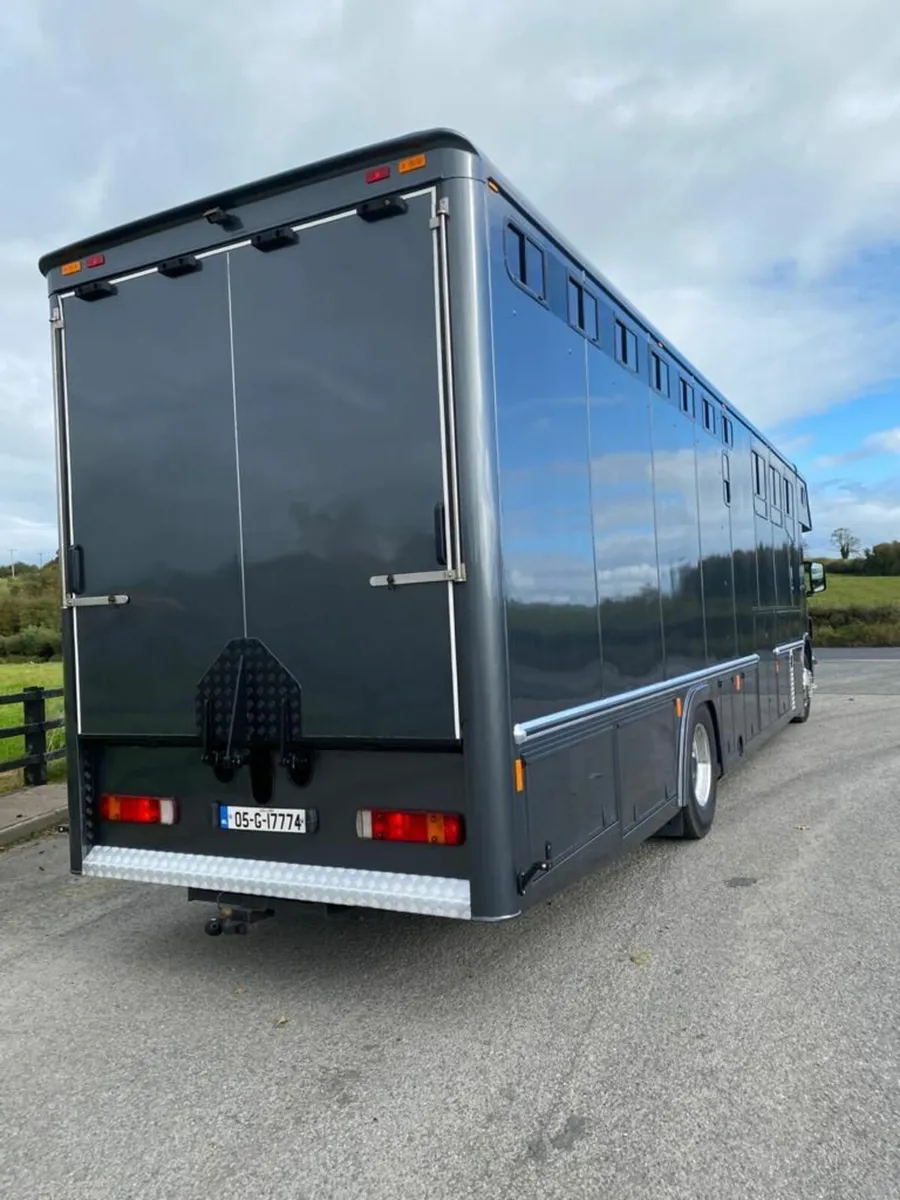 SCANIA HORSE TRUCK - Image 2