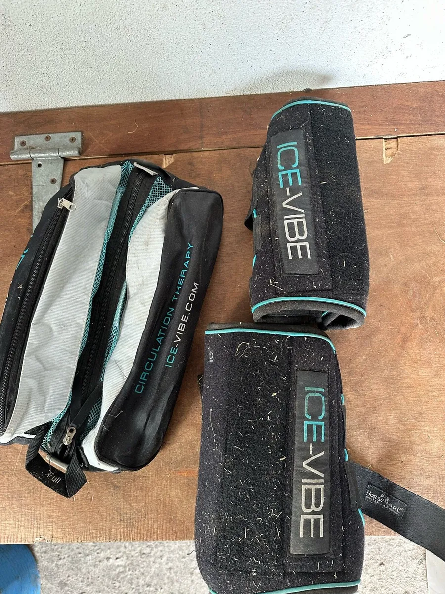 Ice Vibe boots - Image 1