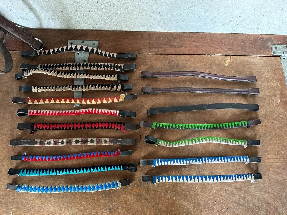 Browbands / cheek pieces / earplugs - Image 1