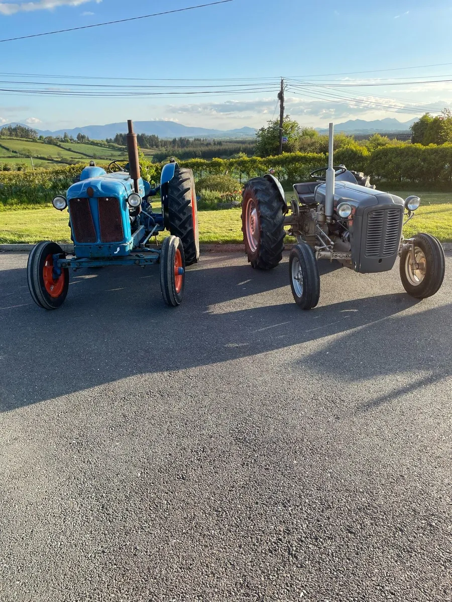 Ferguson Goldbelly/ Fordson Major - Image 1