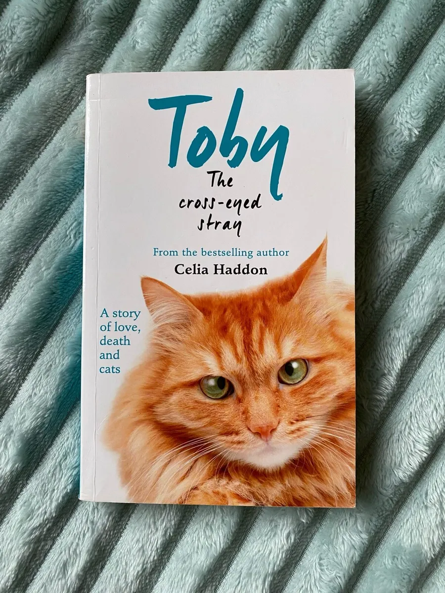 Toby the cross eyed Stray - Celia Haddon- Book - Image 1