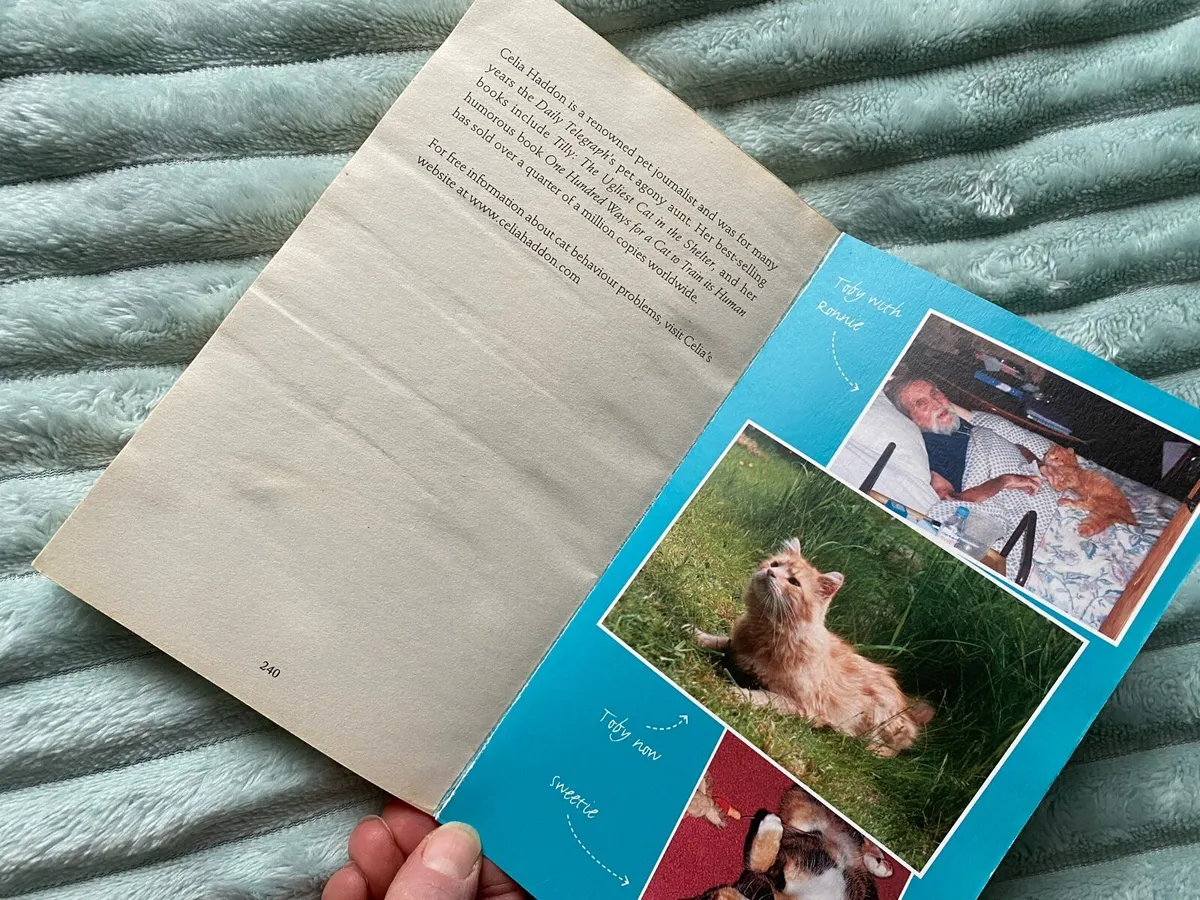 Toby the cross eyed Stray - Celia Haddon- Book - Image 3