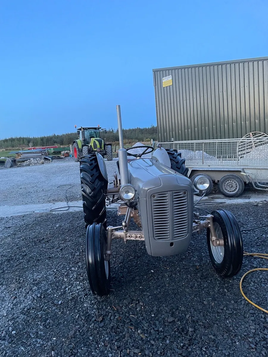 Ferguson Goldbelly/ Fordson Major - Image 3