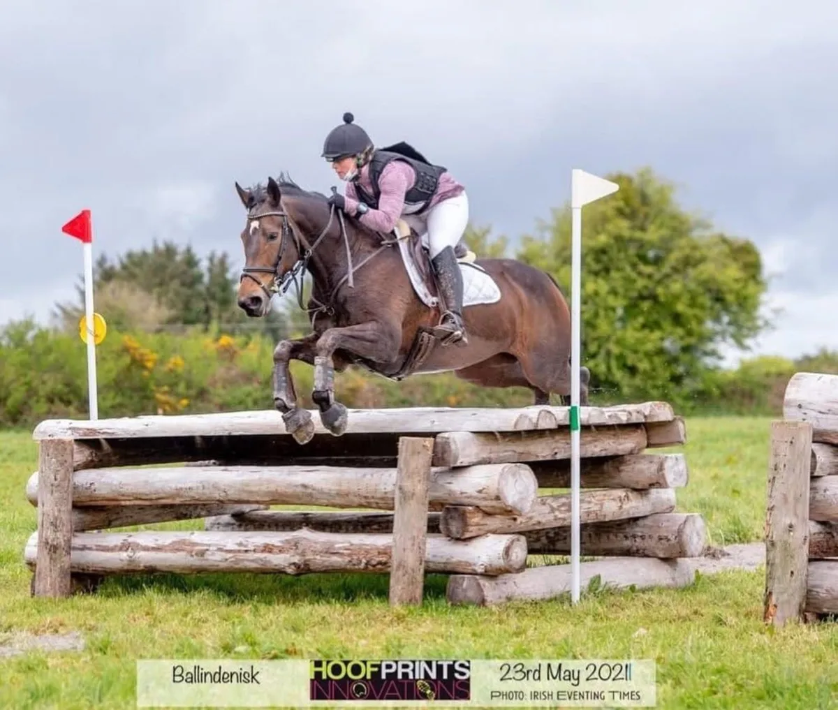 Experienced competition mare - Image 4