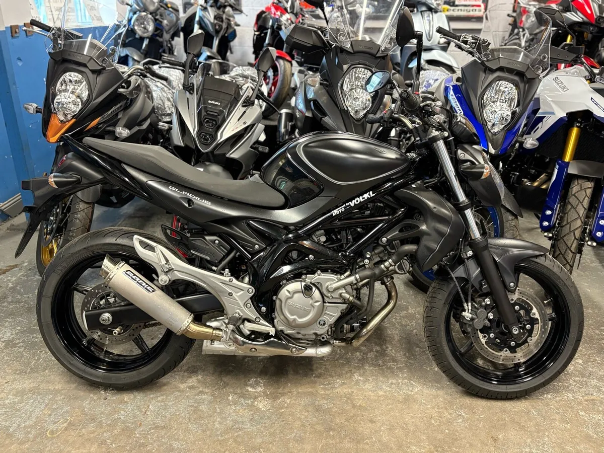 2017 Suzuki Gladius 650 - Image 1