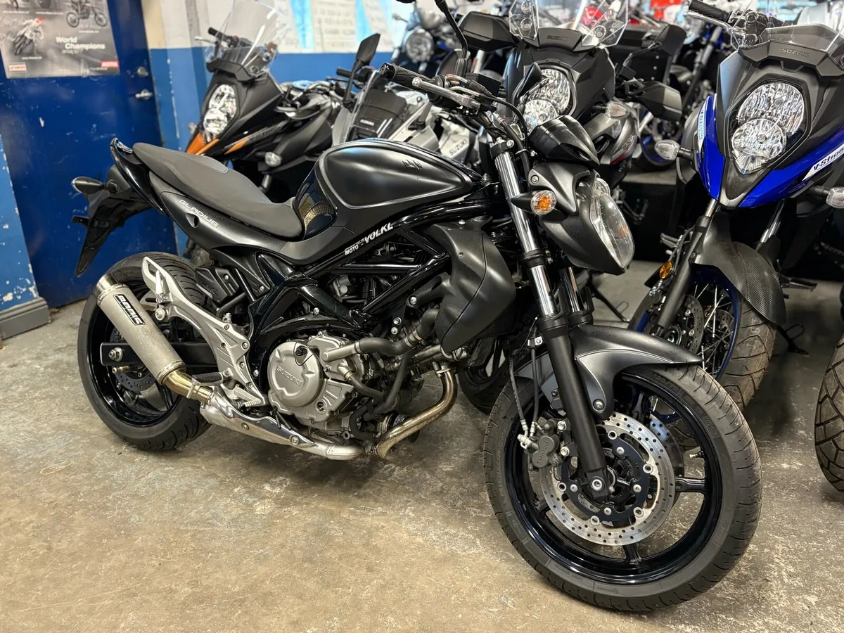 2017 Suzuki Gladius 650 - Image 2