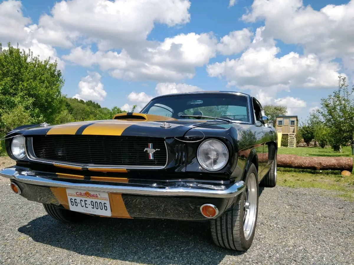 1966 Ford Mustang Fastback V8 - Fully restored !!! - Image 1