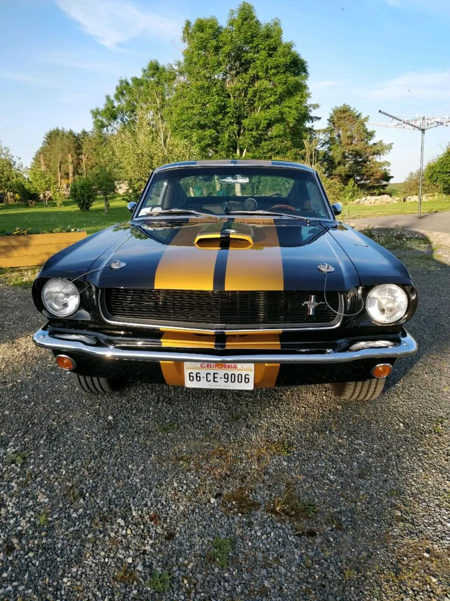 1966 Ford Mustang Fastback V8 - Fully restored !!! - Image 3