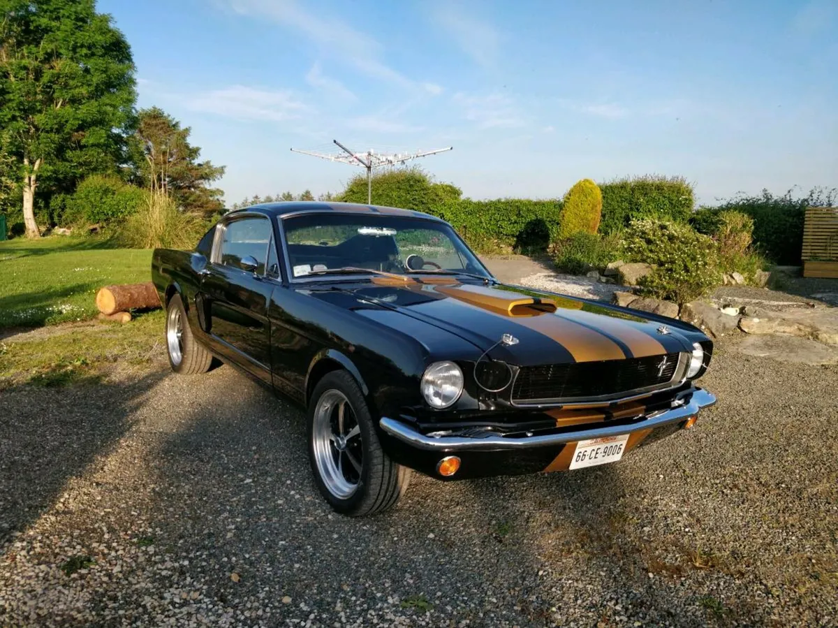 1966 Ford Mustang Fastback V8 - Fully restored !!! - Image 4