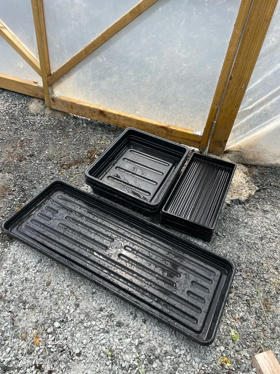 Seed trays - Image 1