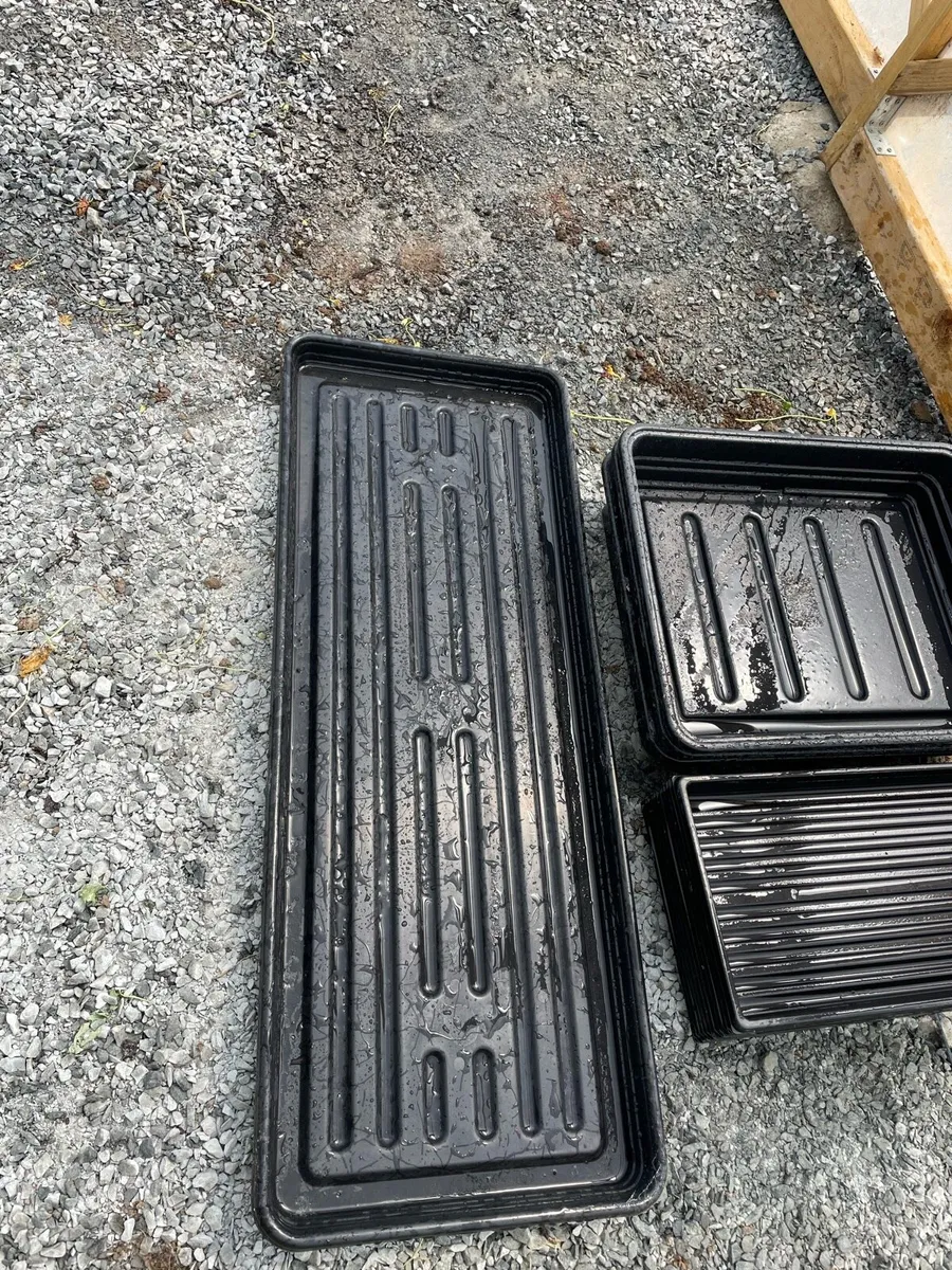 Seed trays - Image 2