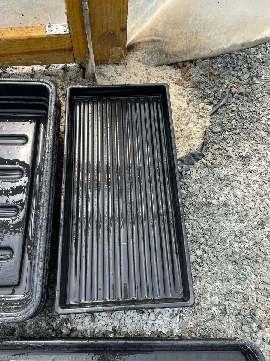 Seed trays - Image 3
