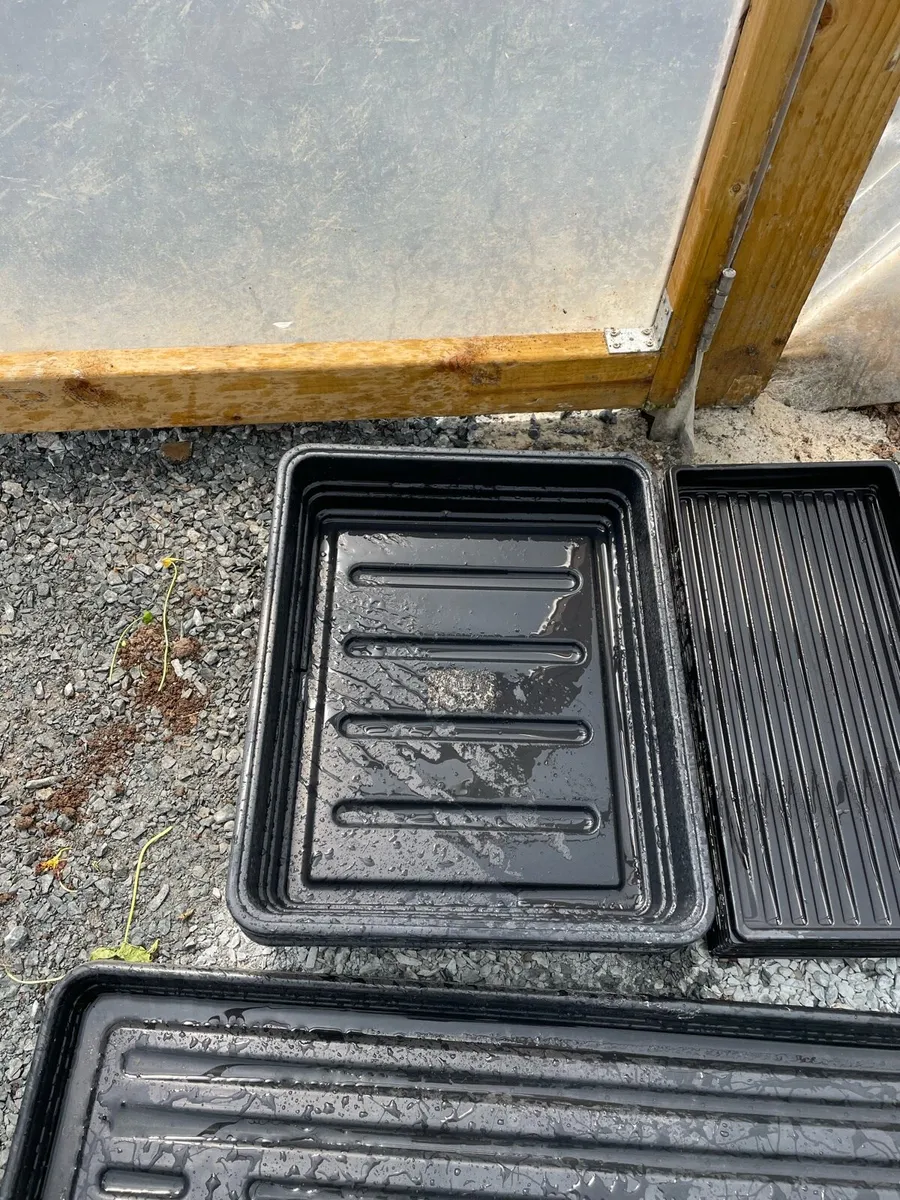 Seed trays - Image 4