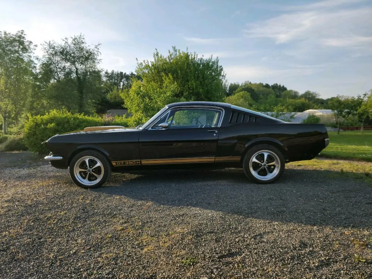 1966 Ford Mustang Fastback V8 - Fully restored !!! - Image 4