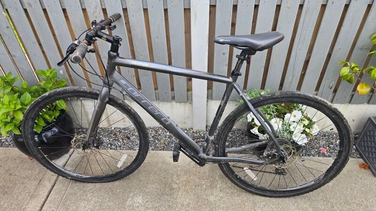 Carrera Gryphon - Image 1