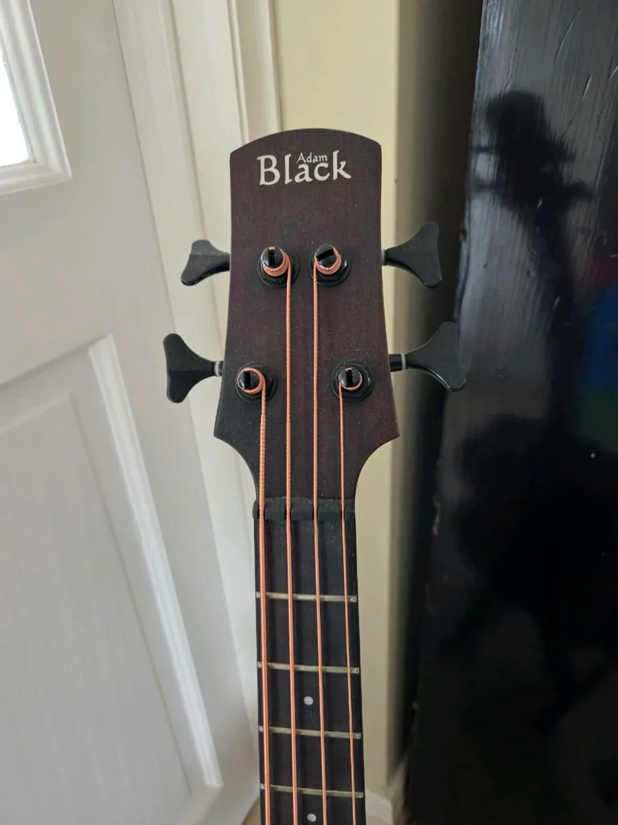 Acoustic Bass Guitar - Image 2
