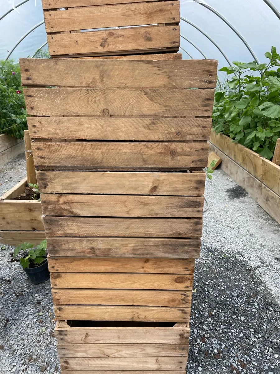 Vintage Wooden Apple Crates - Image 4