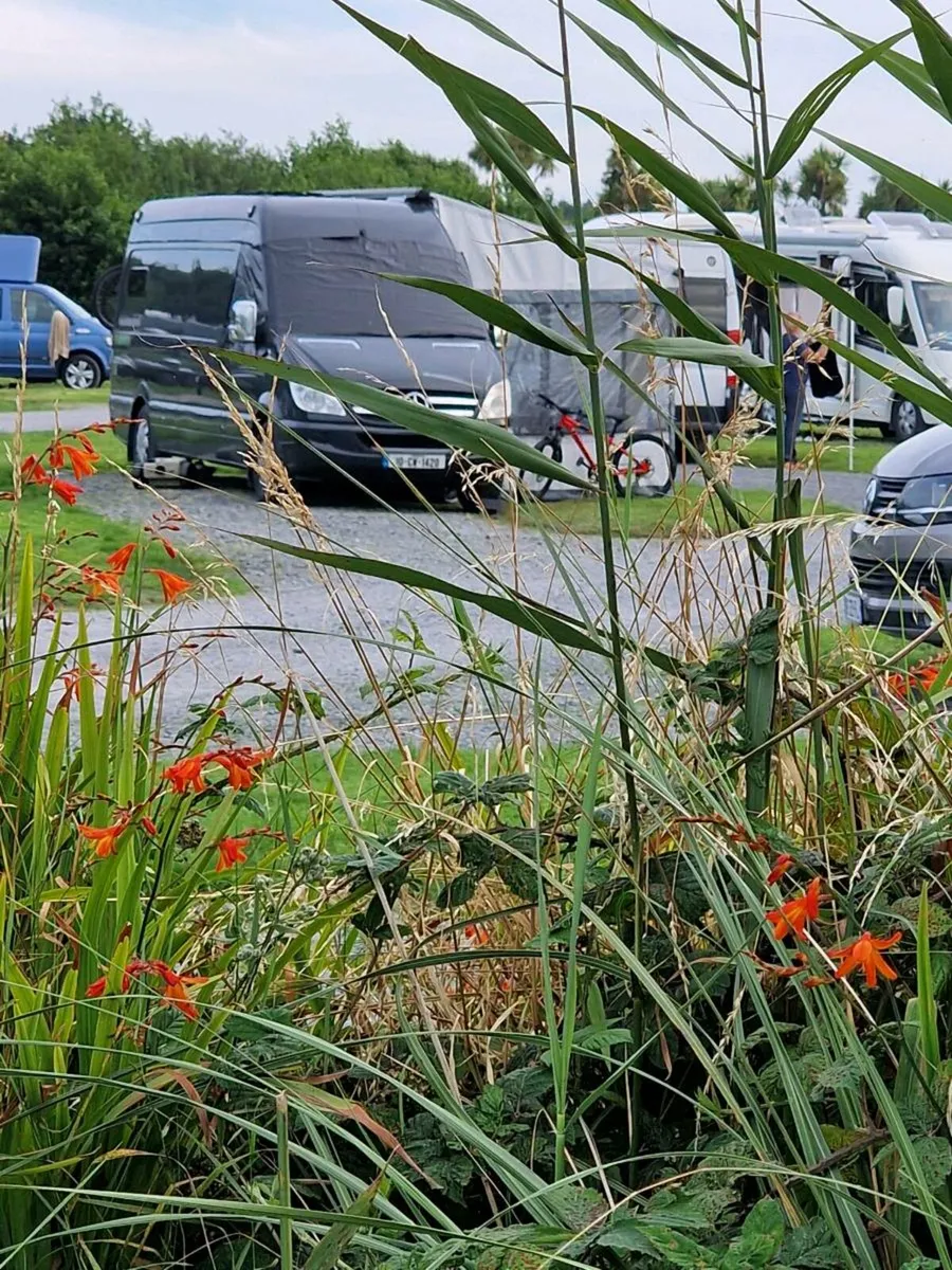 Campervan - Image 1