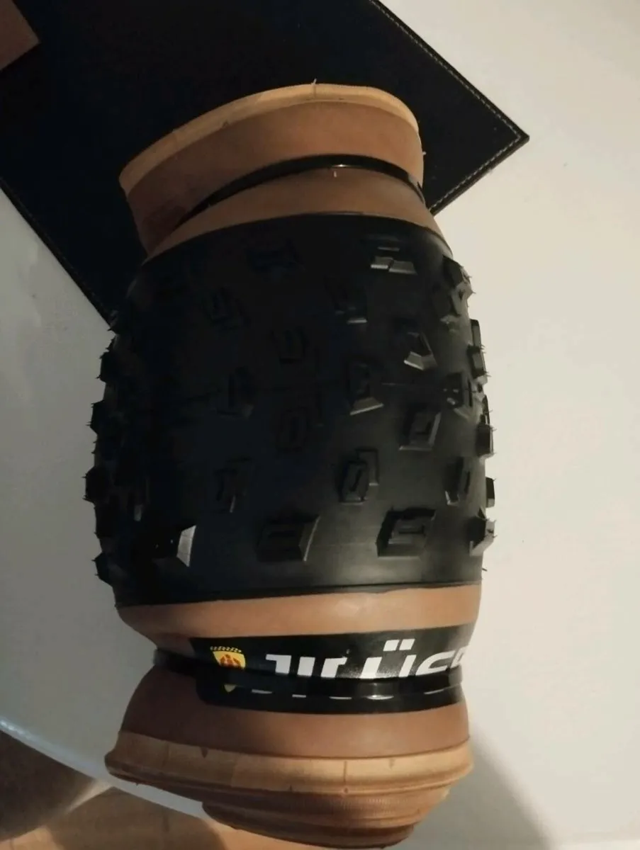 Fat tyre and tube for electric bike - Image 2