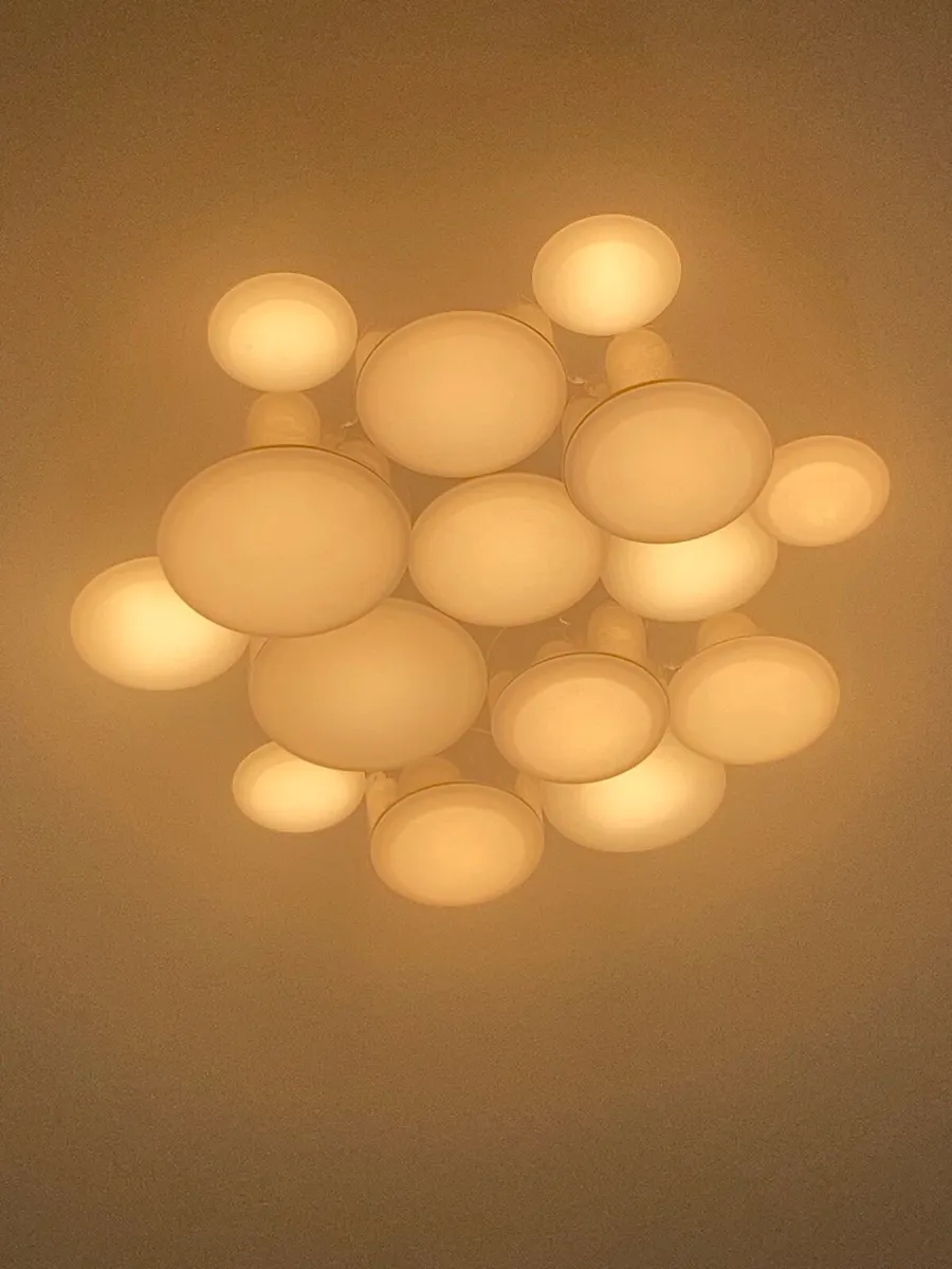 Light - Image 4