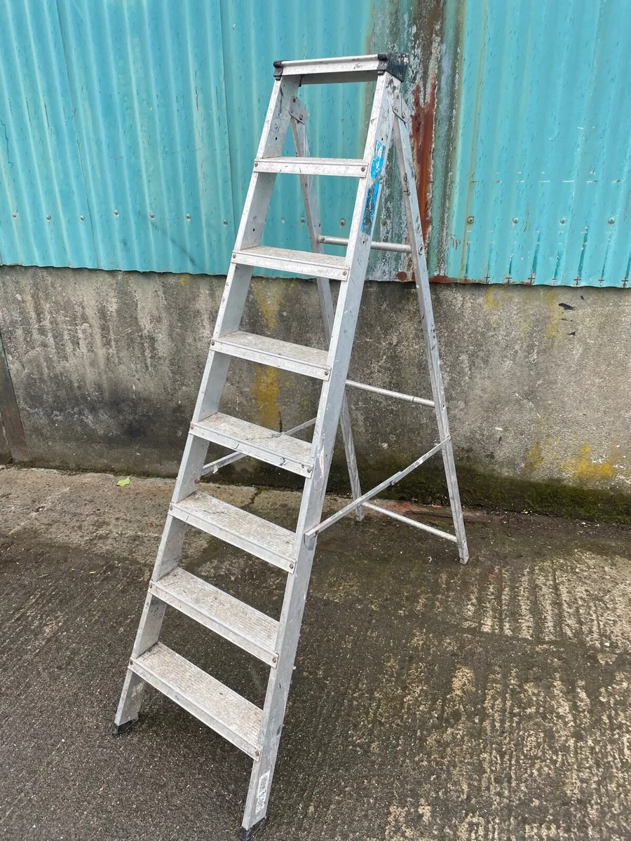 8 steeps ladder