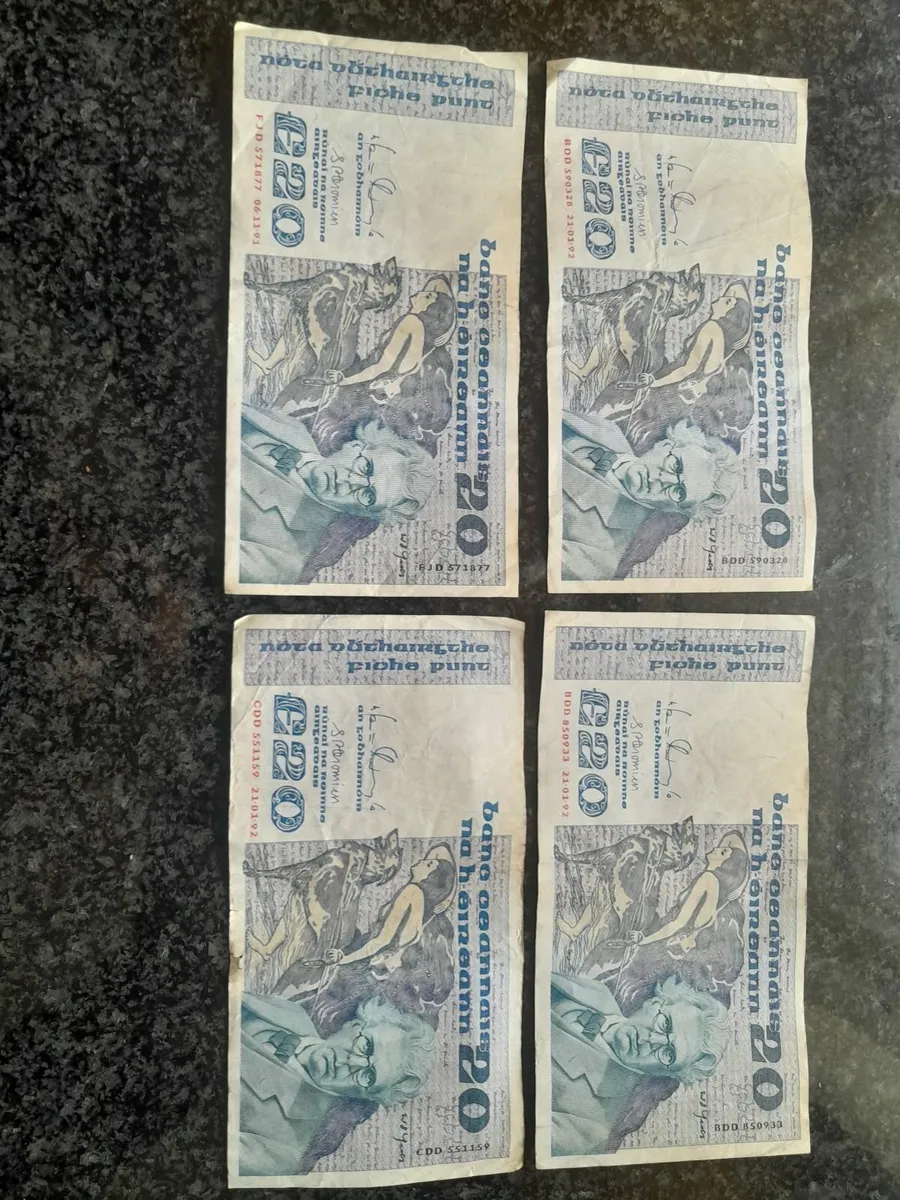 20 irish pounds