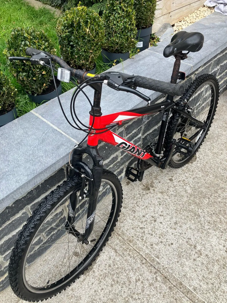 Bike - Image 1