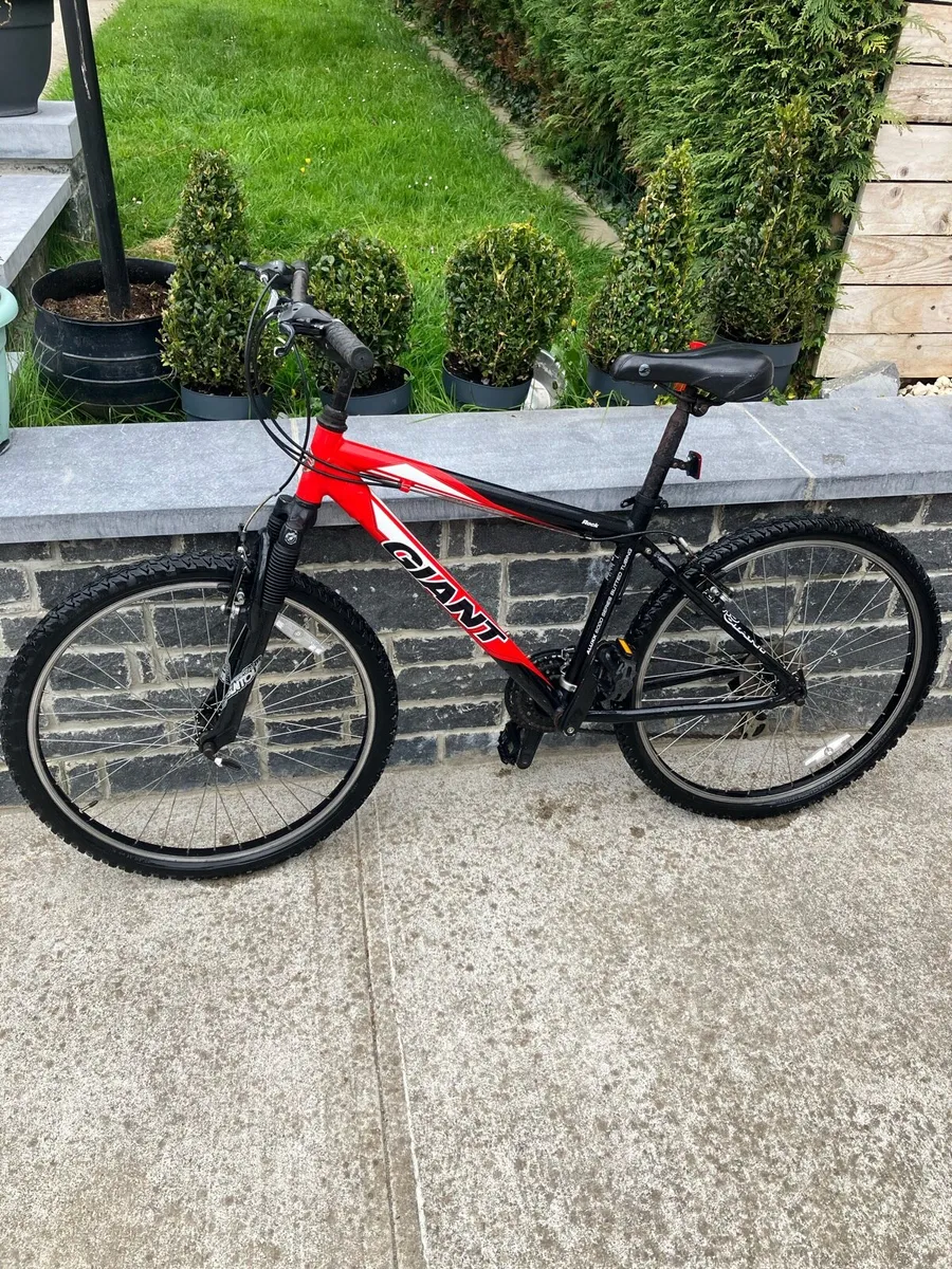 Bike - Image 2