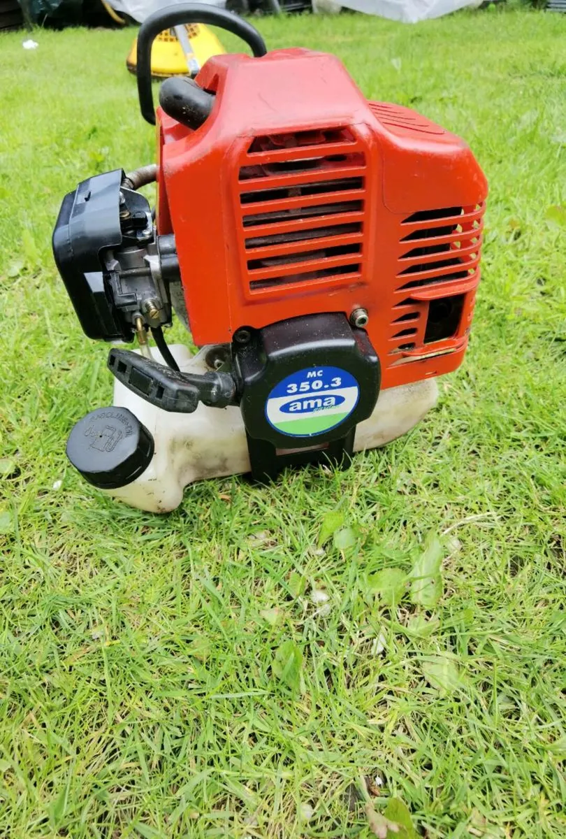 Strimmer - Image 2