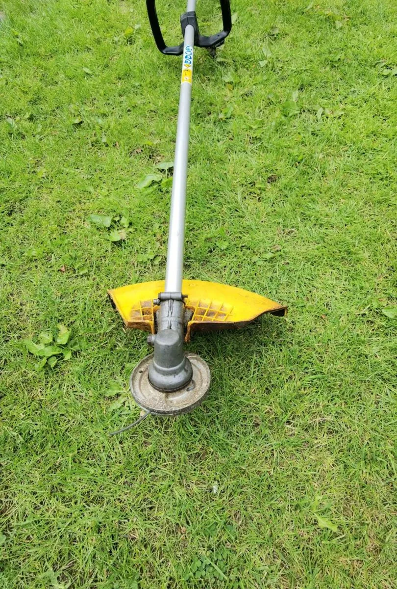 Strimmer - Image 3