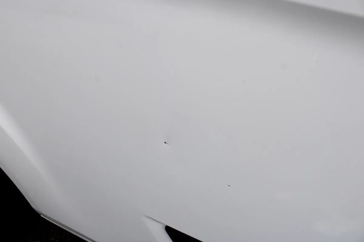 Ford Transit Custom Transit Custom 300 L Base 2.0 - Image 4