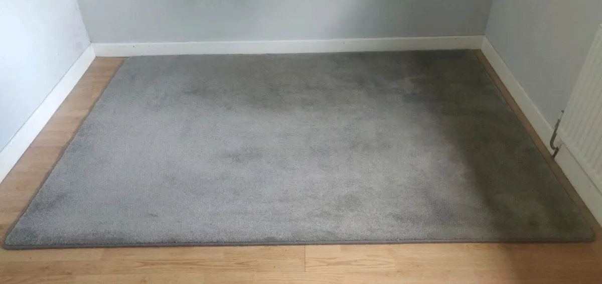 Large Grey Rug