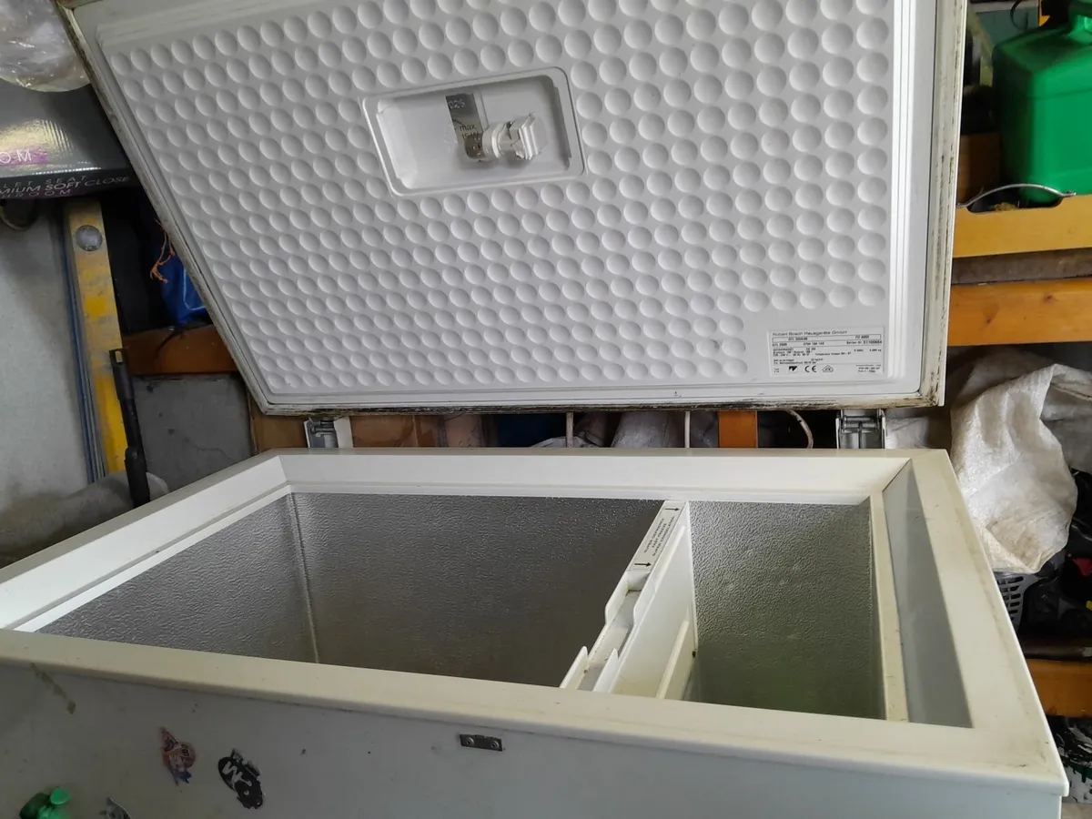 Bosch Freezer - Image 1