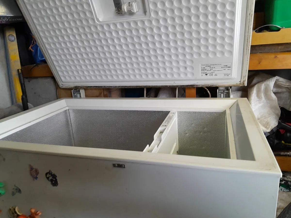 Bosch Freezer - Image 2