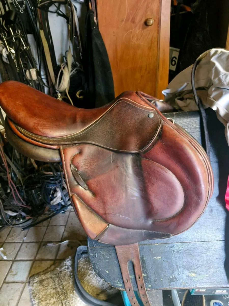 Childeric saddle - Image 1