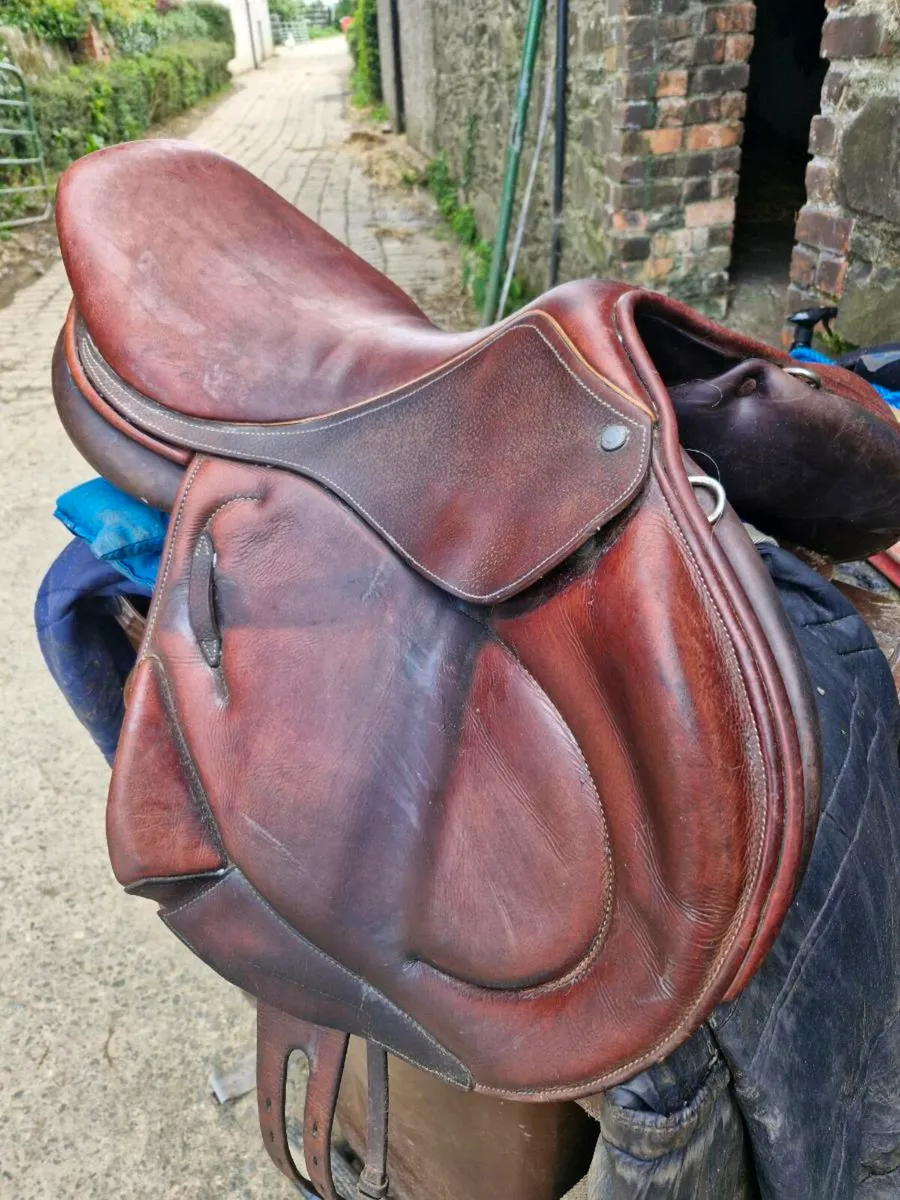 Childeric saddle - Image 2