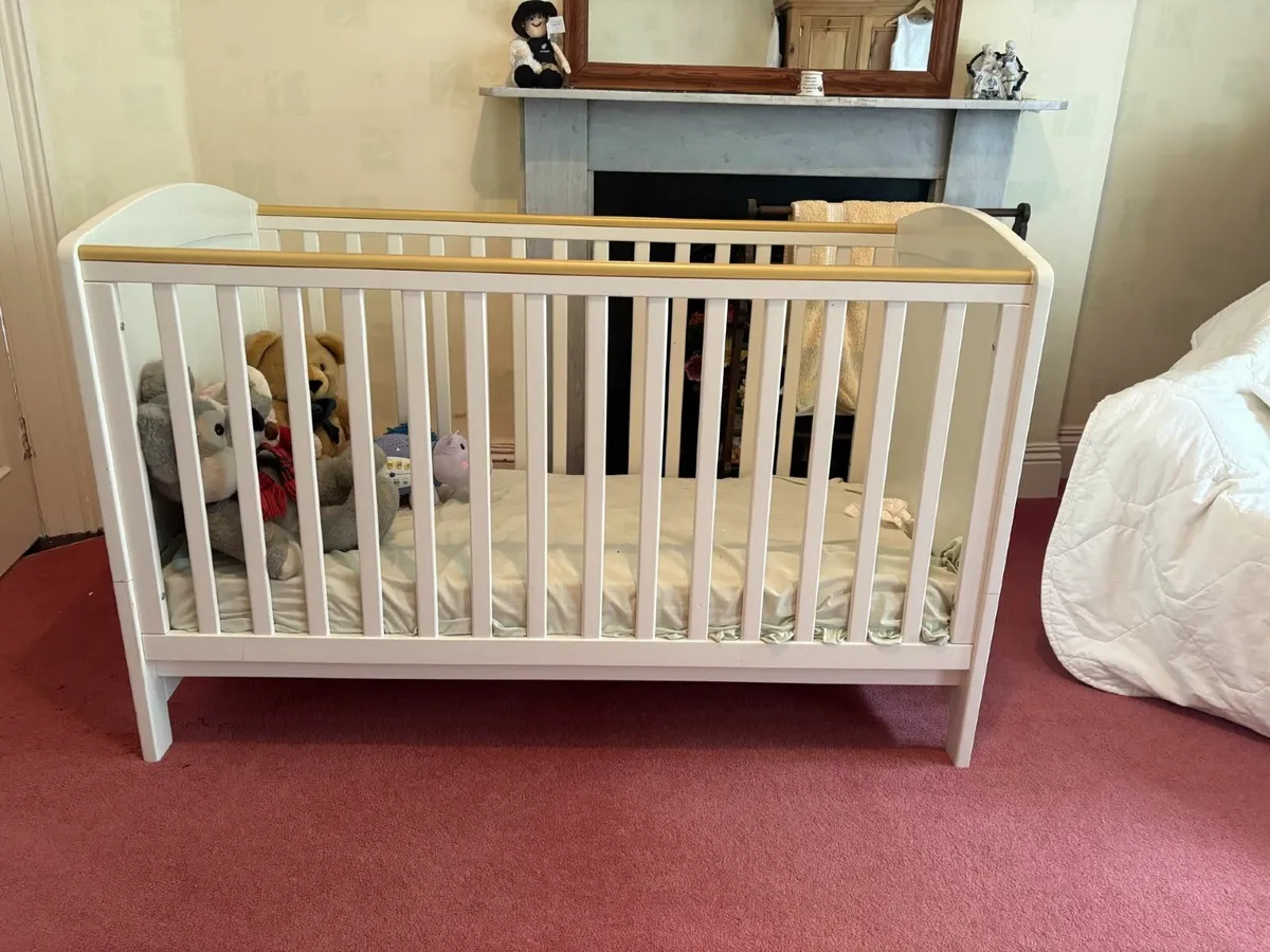 Adjustable Cot - Image 1