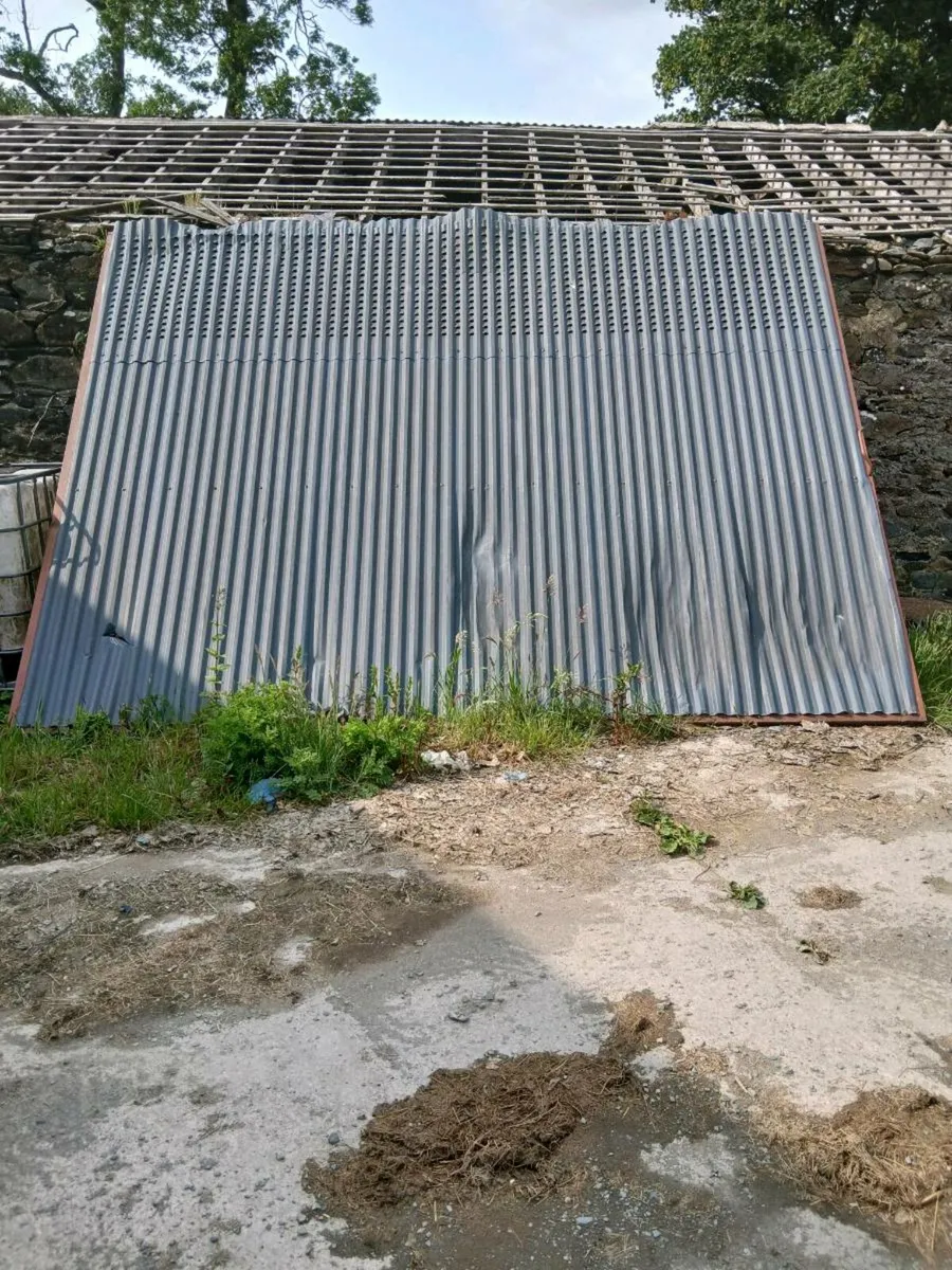 Shed Doors - Image 1