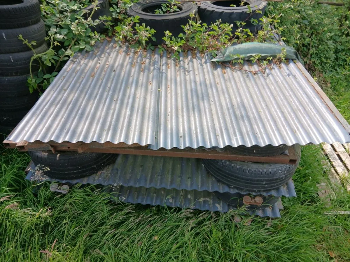 Shed Doors - Image 2