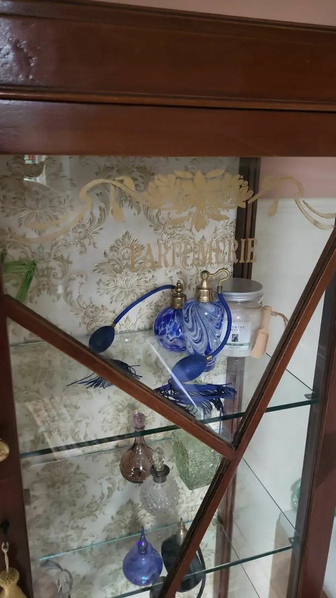 Early 1900s mahogany display cabinet - Image 4