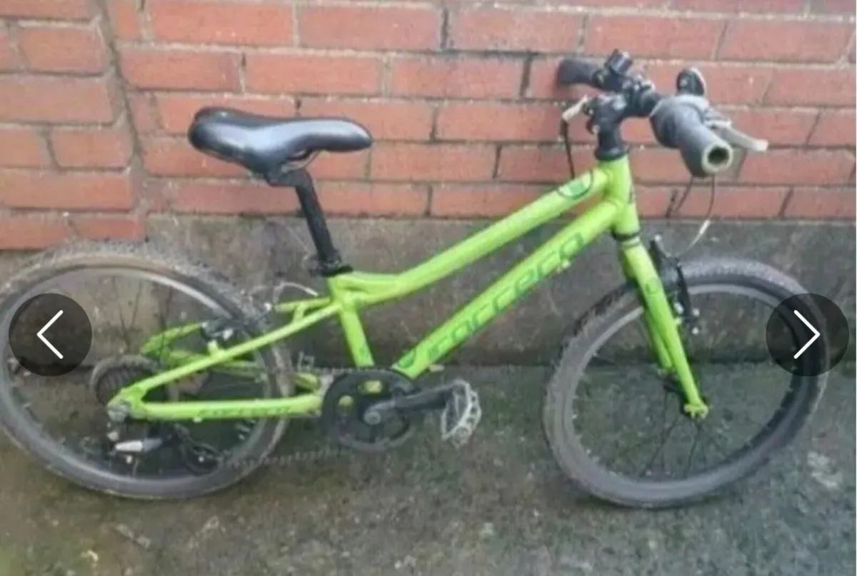 Carrera jr 20 inch kids bike - Image 1