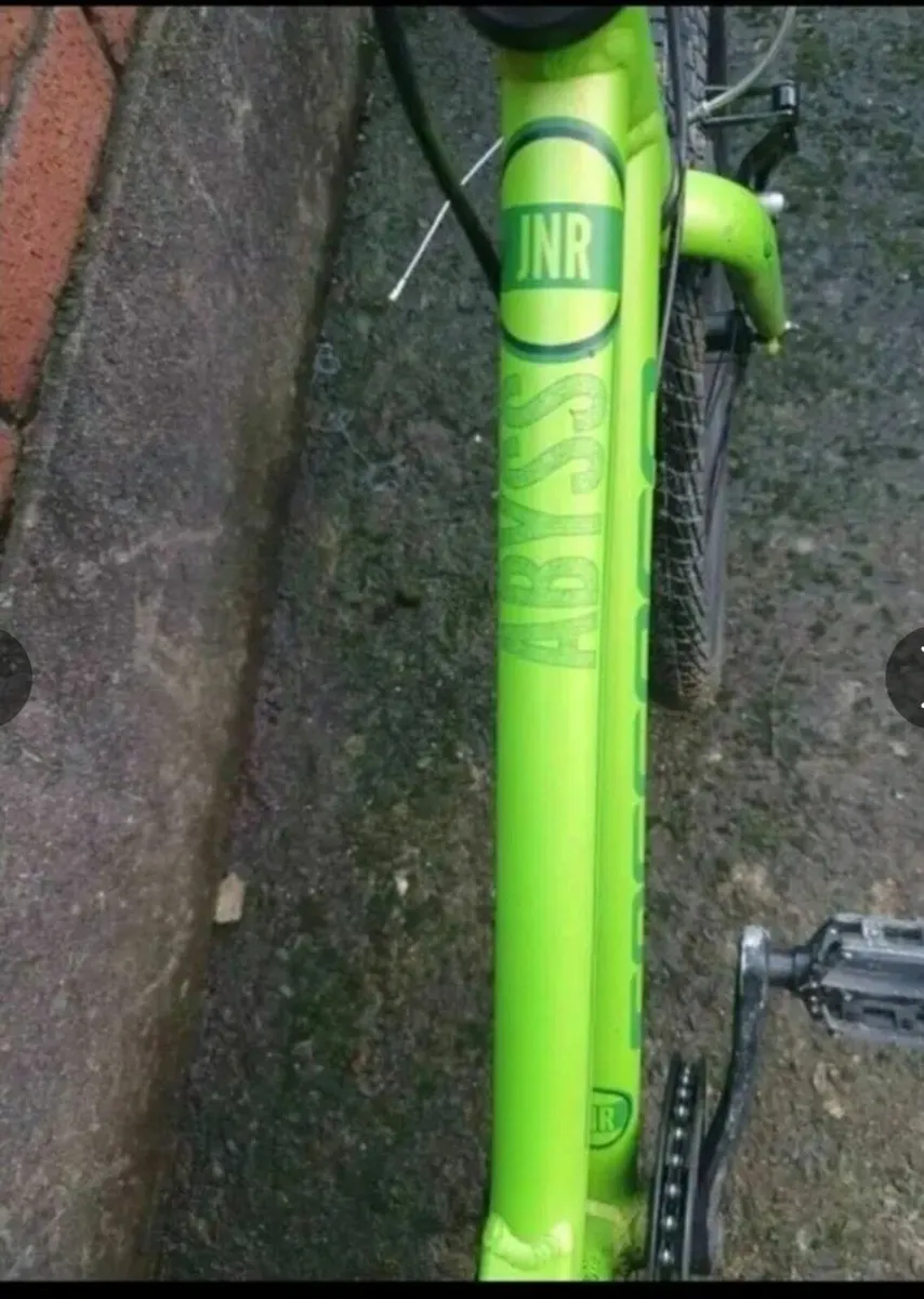Carrera jr 20 inch kids bike - Image 3