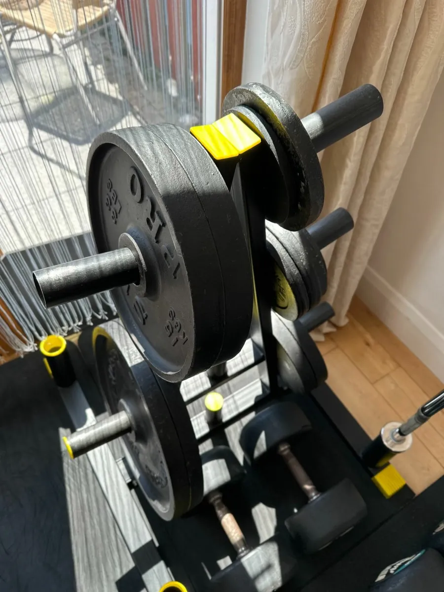 Gym Equipment - Dummbells, Power Rack, Weights... - Image 1