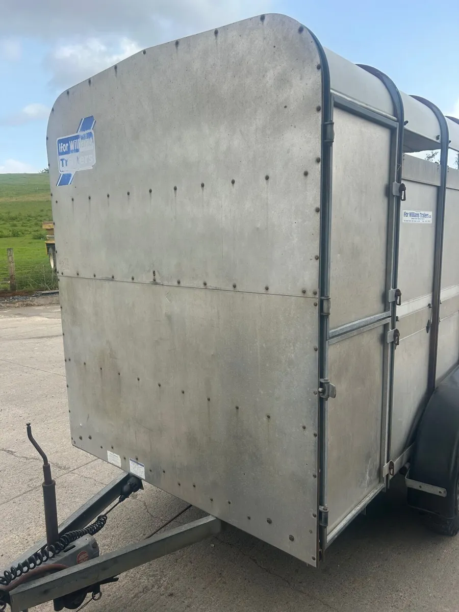 Ivor Williams 10+5 cattle trailer - Image 2