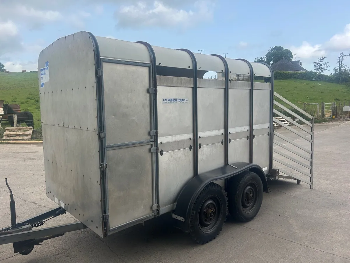 Ivor Williams 10+5 cattle trailer - Image 1
