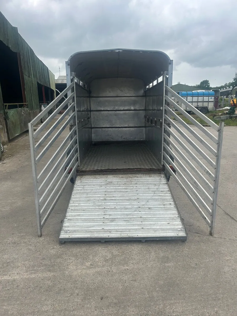 Ivor Williams 10+5 cattle trailer - Image 3